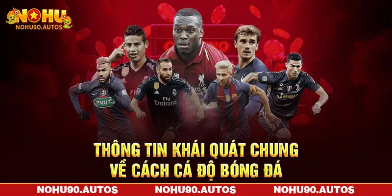 Thông tin khái quát chung về cách cá độ bóng đá Thông tin khái quát chung về cách cá độ bóng đá