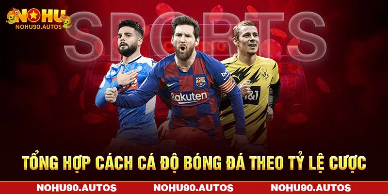 Tổng hợp cách cá độ bóng đá theo tỷ lệ cược Tổng hợp cách cá độ bóng đá theo tỷ lệ cược