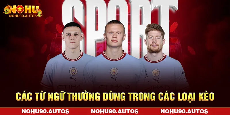 Các từ ngữ thường dùng trong các loại kèo Các từ ngữ thường dùng trong các loại kèo